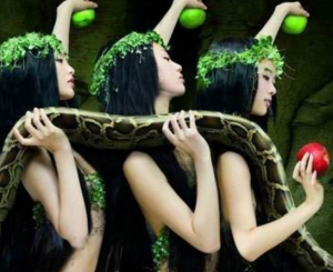 梦见有人砸蛇,揭秘梦境中的神秘预兆与解梦指南,象征,挑战,希望,第1张 梦见有人砸蛇,揭秘梦境中的神秘预兆与解梦指南,象征,挑战,希望,第1张