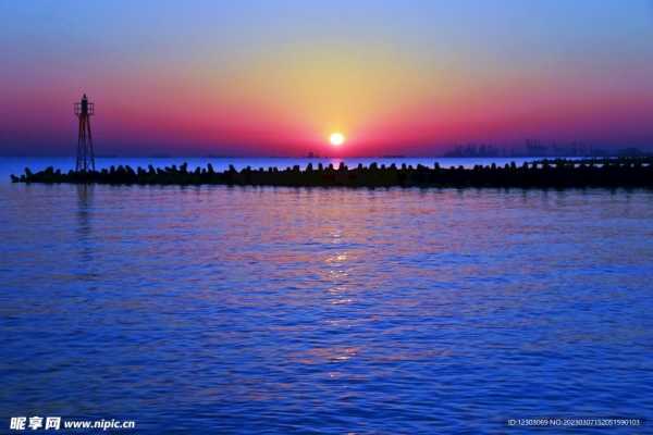 朝客厅养花指南,选择哪些花卉最旺家运,象征,事业,美好,第1张 朝客厅养花指南,选择哪些花卉最旺家运,象征,事业,美好,第1张