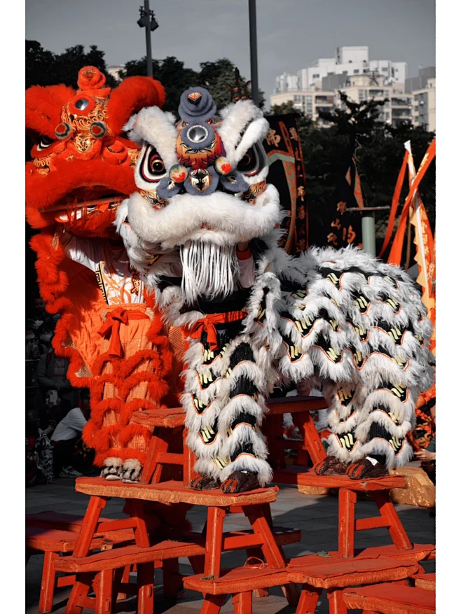 自助求签机狮子,探寻古老文化的现代演绎,象征,希望,求签,第1张 自助求签机狮子,探寻古老文化的现代演绎,象征,希望,求签,第1张