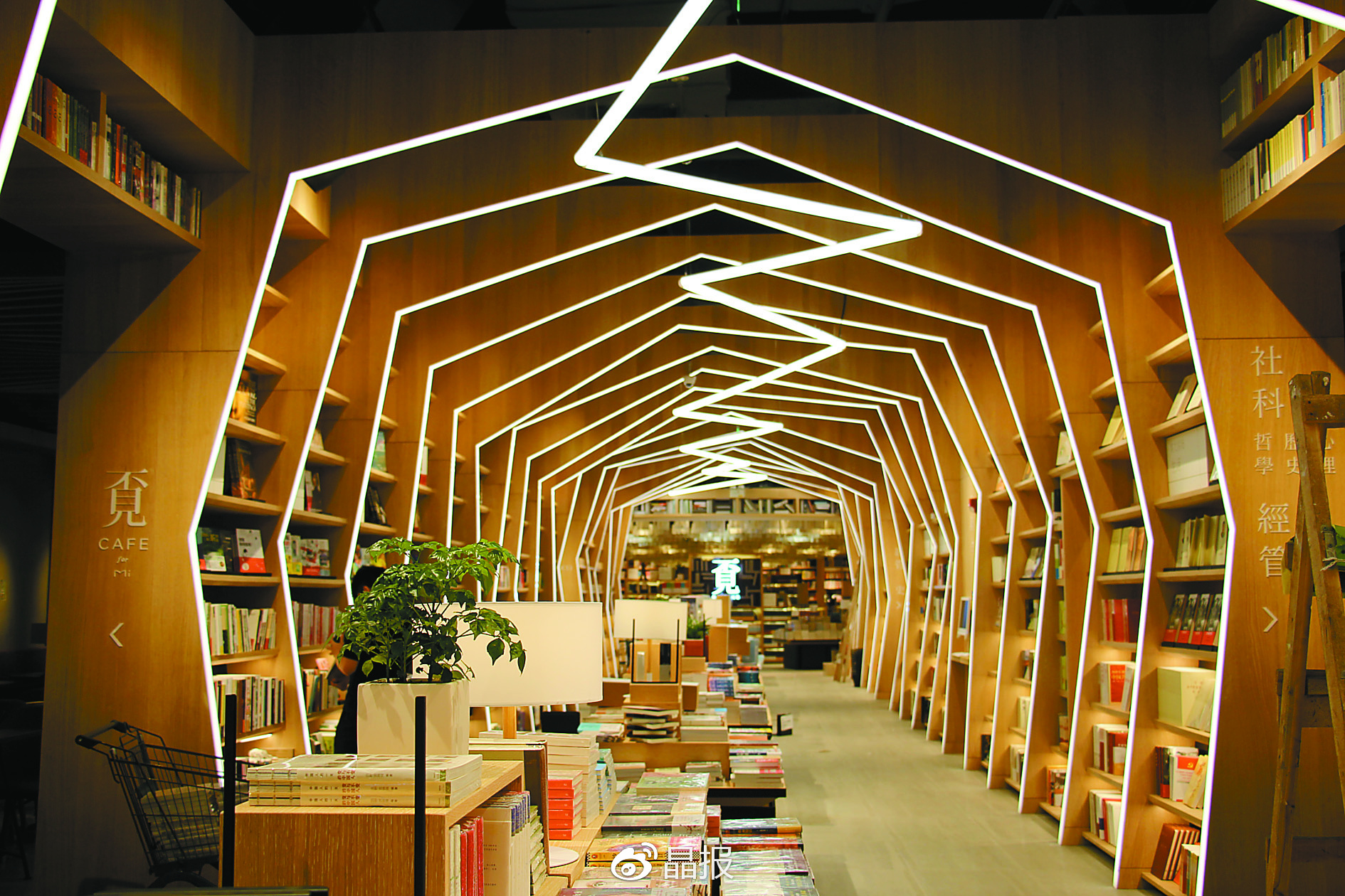 书店名吉凶,探寻字里行间的运势密码,为你的书店命名保驾护航,象征,希望,吉凶,第1张 书店名吉凶,探寻字里行间的运势密码,为你的书店命名保驾护航,象征,希望,吉凶,第1张