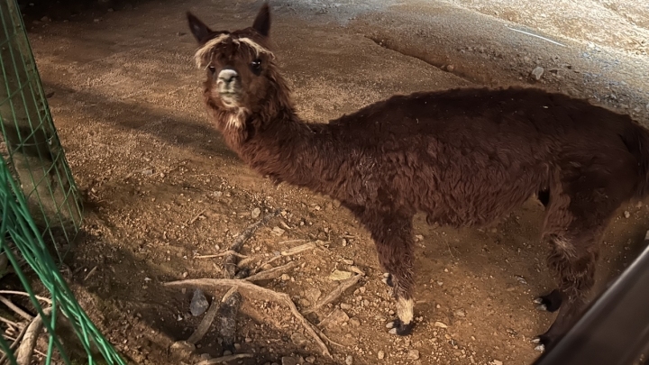 十二星座夜猫子的深揭秘,他们都在做什么?,十二星座,能量,星座,第1张 十二星座夜猫子的深揭秘,他们都在做什么?,十二星座,能量,星座,第1张