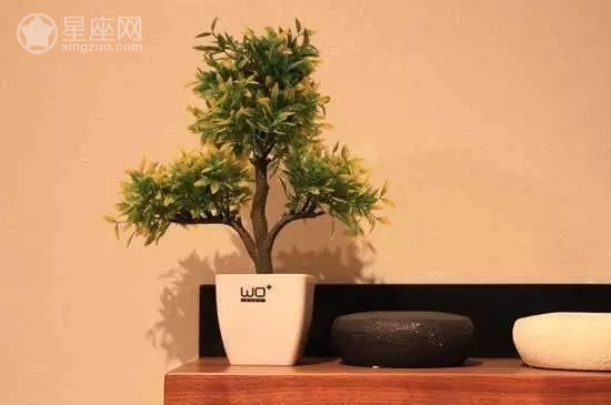 布置，摆放哪些物品能带来与和谐,事业,希望,气场,第1张