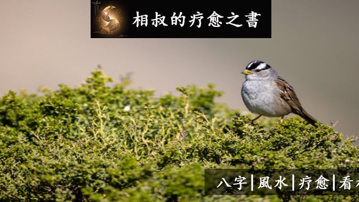 三月2日生肖运势全面解析，运势起伏，宜谨慎行事,事业,挑战,希望,第1张