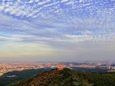 梦见鱼鳞云,揭秘周公解的神秘征兆,象征,事业,挑战,第1张 梦见鱼鳞云,揭秘周公解的神秘征兆,象征,事业,挑战,第1张