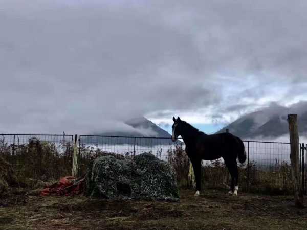 探寻东马营大吉时辰,揭秘择日良辰的秘密,象征,八字,吉时,第1张 探寻东马营大吉时辰,揭秘择日良辰的秘密,象征,八字,吉时,第1张