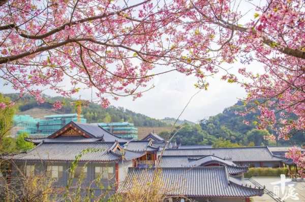 春意盎然,4月寺庙求签,探寻心灵宁静之旅,求签,吉凶,占卜,第1张 春意盎然,4月寺庙求签,探寻心灵宁静之旅,求签,吉凶,占卜,第1张