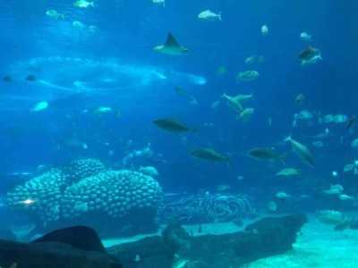 2025年属兔生肖运势,兔跃新春,连连,事业财运双丰收!,事业,挑战,希望,第1张 2025年属兔生肖运势,兔跃新春,连连,事业财运双丰收!,事业,挑战,希望,第1张