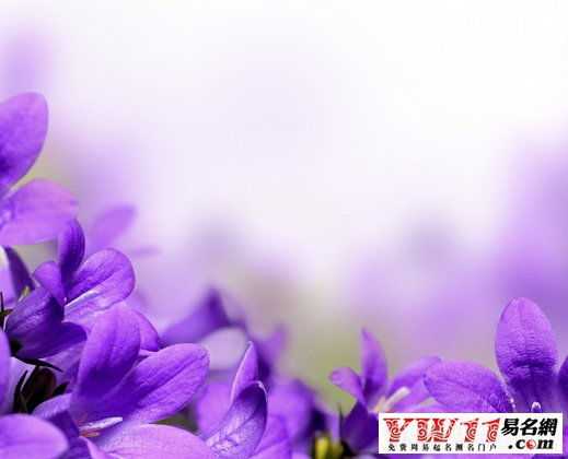 梦见花石头,揭秘梦境中的神秘预兆与深层含义,象征,事业,挑战,第1张 梦见花石头,揭秘梦境中的神秘预兆与深层含义,象征,事业,挑战,第1张