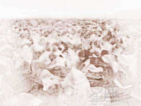 揭秘梦境,睡觉梦见买猫的周公解梦含义,象征,事业,解梦,第1张 揭秘梦境,睡觉梦见买猫的周公解梦含义,象征,事业,解梦,第1张