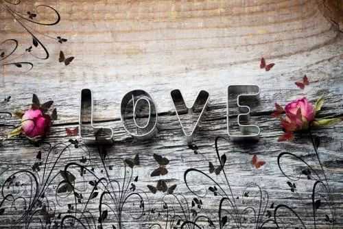 十二星座为何对天蝎情有独钟,揭秘天蝎的独特魅力,事业,希望,十二星座,第1张 十二星座为何对天蝎情有独钟,揭秘天蝎的独特魅力,事业,希望,十二星座,第1张