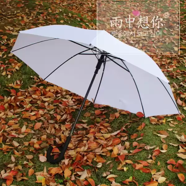 梦见雨伞，揭秘雨伞在梦境中的寓意与解梦技巧,象征,挑战,希望,第1张