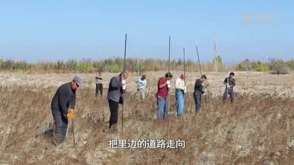 探寻神秘玛纳斯算命之地，揭秘古老智慧传承的奥秘,命运,挑战,八字,第1张