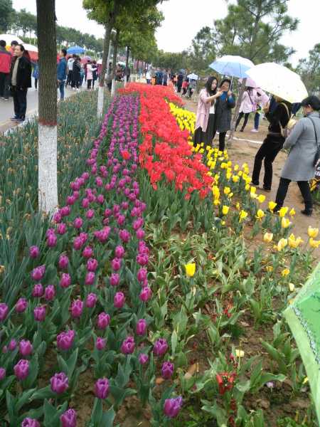 锦绣城开工大吉，时间表正式发布，未来繁华指日可待！,美好,开工仪式,第1张