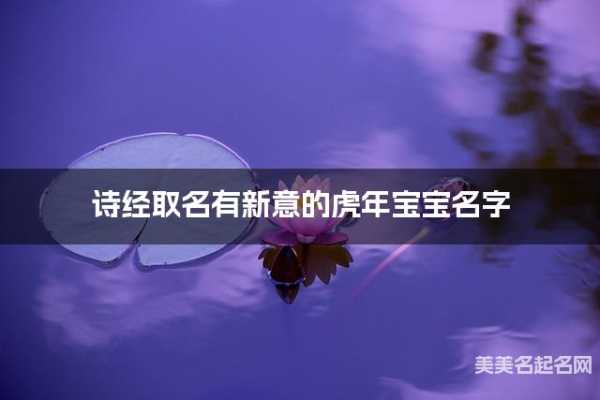 女宝宝诗经取名指南，传承经典，诗意盎然,美好,寓意美好,取名指南,第1张