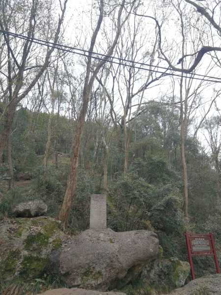 长沙玉泉寺求签热潮，探寻古寺神秘面纱下的之旅,事业,求签,占卜,第1张