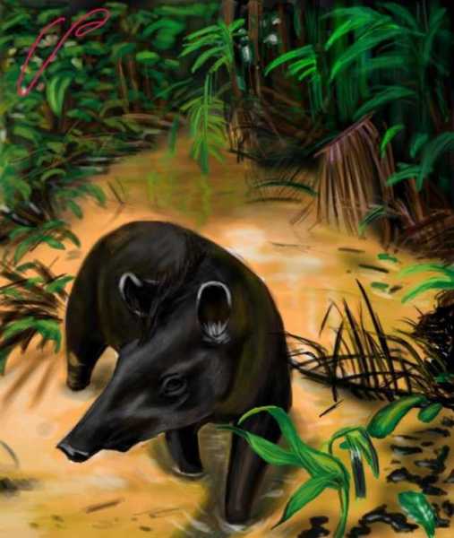 揭秘梦境中的怪物，梦见怪物究竟是什么预兆？解梦指南来袭！,挑战,希望,自我,第1张