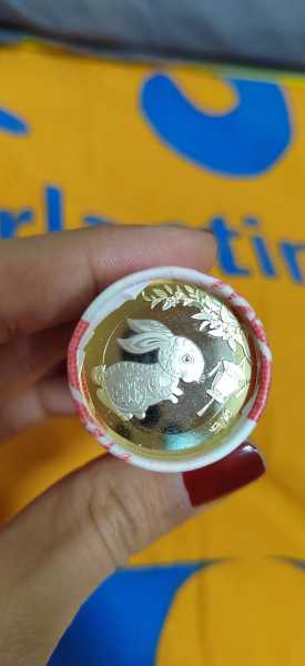 兔年本命年吉时查询，最新详解助你迎！,象征,事业,挑战,第1张