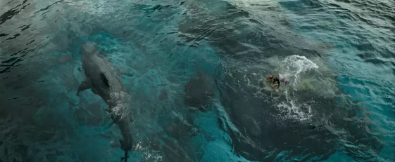 恐怖星座阴影下的悬疑之旅，揭秘恐怖电影恐怖十二星座的神秘面纱,象征,命运,十二星座,第1张