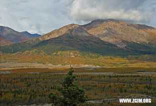 梦见采笋子是什么意思？周公解梦为您揭晓,象征,事业,挑战,第1张