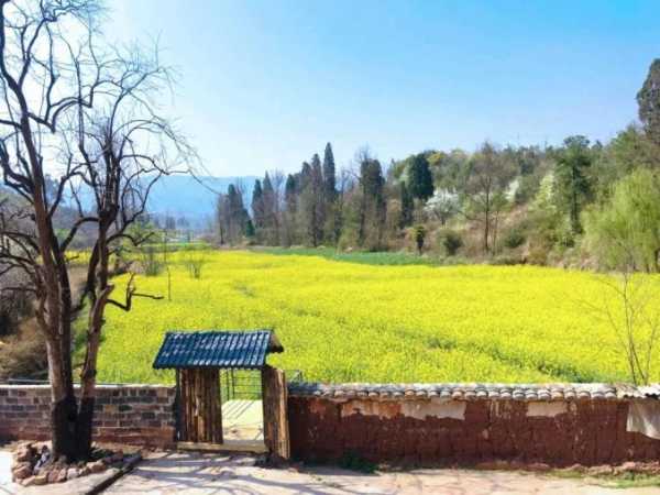 农村房间布局，巧选装饰，打造和谐宜居空间,象征,希望,能量,第1张