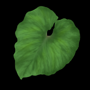 黄衣算命先生之谜，揭秘他神秘的名字背后的故事,象征,事业,算命,第1张