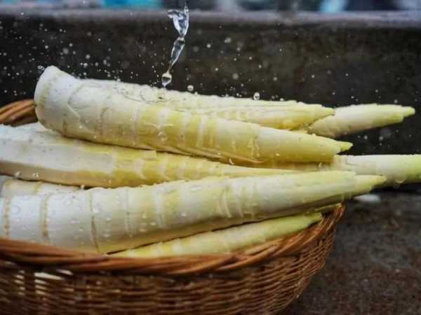 梦到吃笋，揭秘梦境中的笋食预兆与寓意,象征,事业,挑战,第1张