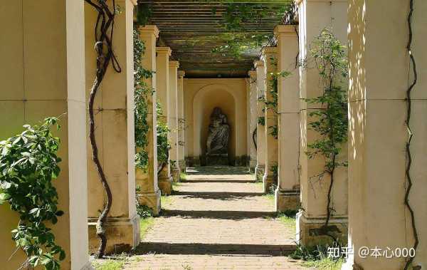 梦见踩藕，揭秘梦境中的神秘预兆与解梦奥秘,象征,事业,希望,第1张