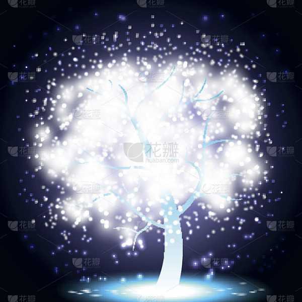 揭秘十二星座专属小树，寓意与象征，你的专属守护树在这里！,象征,十二星座,星座,第1张