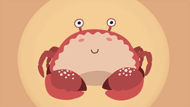 梦到甲鱼解梦，揭秘梦境中的甲鱼所代表的含义,象征,事业,挑战,第1张