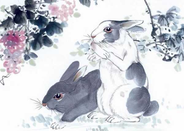 生肖狗8月运势，桃花盛开，甜蜜来袭,事业,挑战,合作,第1张