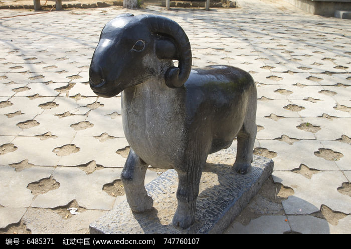 十二星座羊克什么属相的，揭秘星座运势中的奇妙联,自我,十二星座,星座,第1张