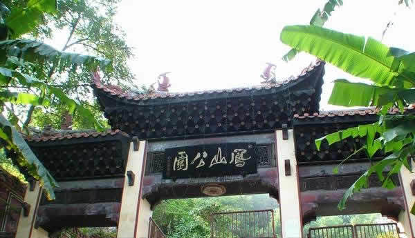 凤山人家开业，时刻见证美好未来！,美好,光明,未来展望,第1张