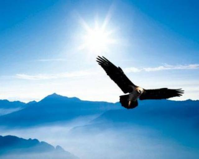 生肖羊本周事业运势详解,稳步上升,宜把握机遇,事业,合作,认可,第1张 生肖羊本周事业运势详解,稳步上升,宜把握机遇,事业,合作,认可,第1张