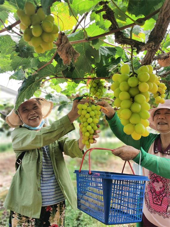 公司取名吉凶查询,为企业文化底蕴奠定基石,命运,事业,希望,第1张 公司取名吉凶查询,为企业文化底蕴奠定基石,命运,事业,希望,第1张