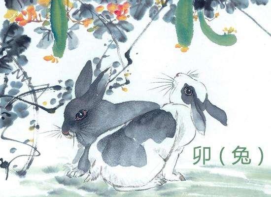 极凶生肖运势揭秘，揭秘那些不为人知的命运起伏,象征,命运,事业,第1张