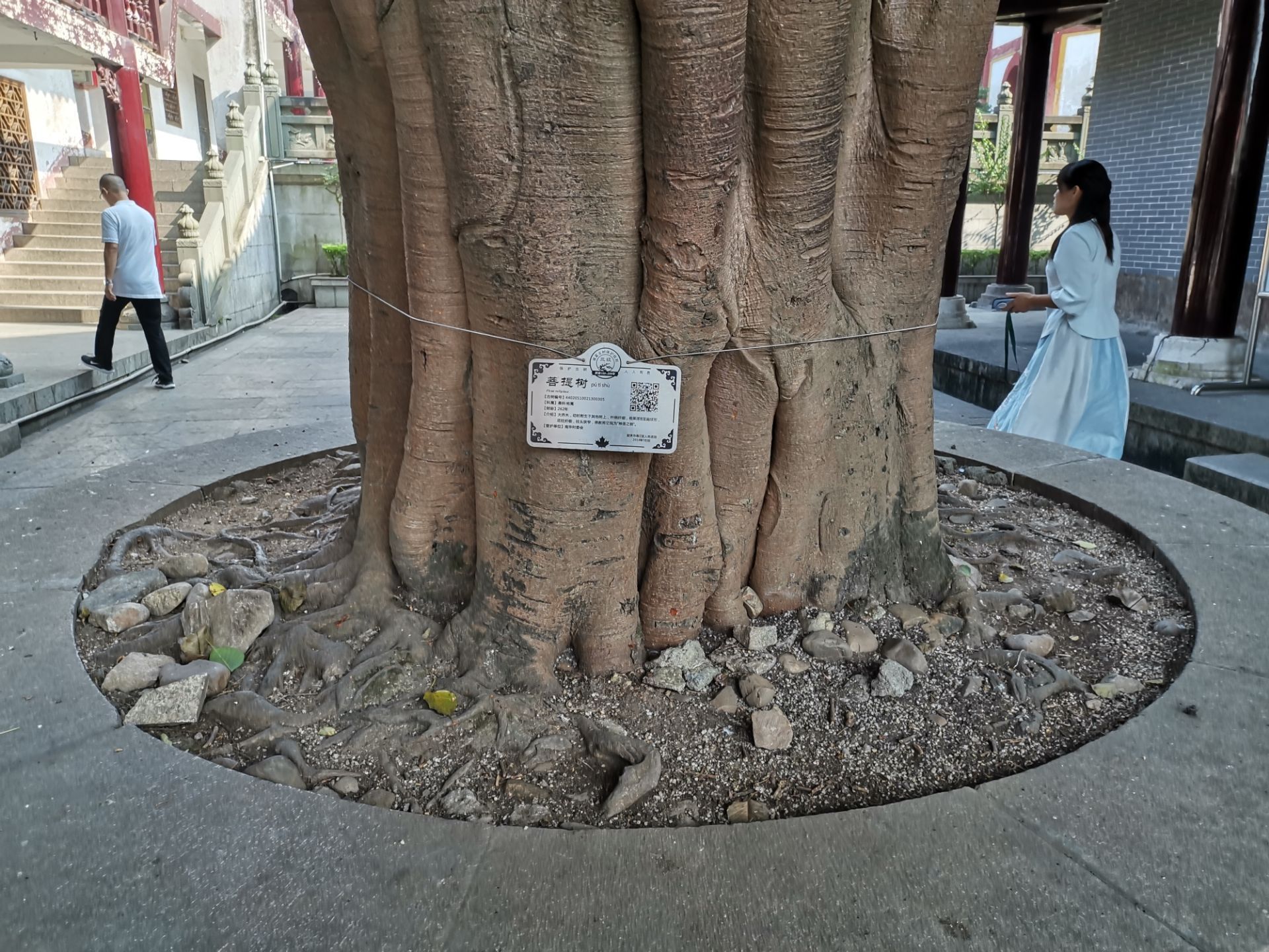 探寻南华寺求签之谜，神秘求签处究竟位于何处？,求签,美好,解读,第1张