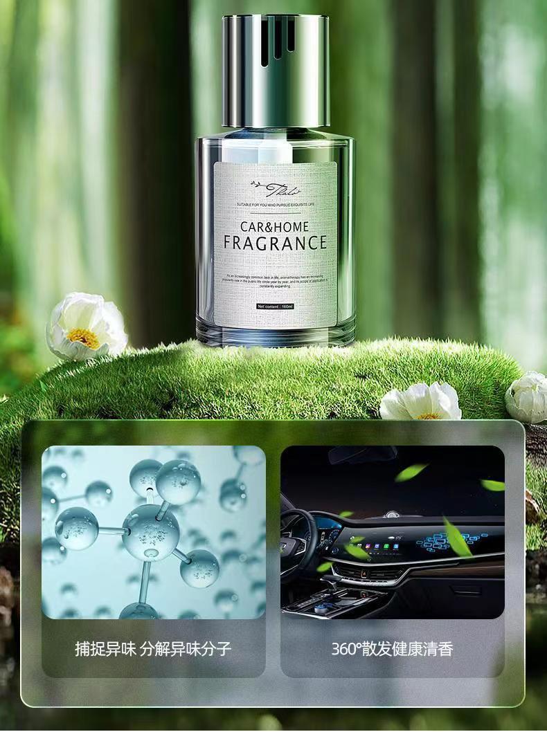 车内植物指南，挑选佳品，提升车内环境与运势,象征,事业,希望,第1张