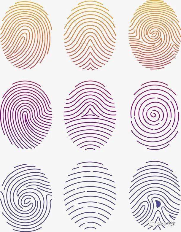 揭秘十二星座指纹特点，你的星座指纹揭示了哪些秘密？,象征,事业,挑战,第1张