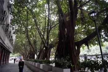 探寻福州古韵，揭秘那些拥有之地的宅子,能量,风水,成功,第1张