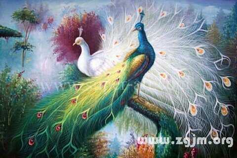 梦见养孔雀的寓意，揭秘梦境中的神秘象征,象征,事业,挑战,第1张