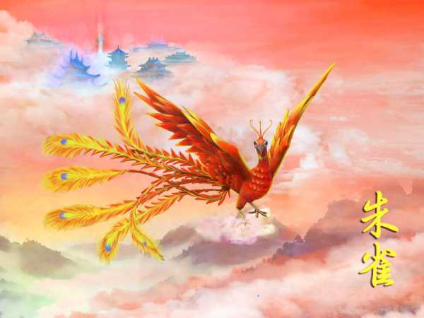 布局中的朱雀方位，了解朱雀好的花草，提升家居运势,象征,事业,希望,第1张