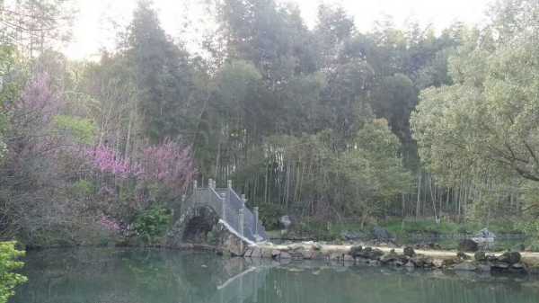 景德镇吉时出行，探寻瓷都的韵味之旅,象征,吉时,美好,第1张