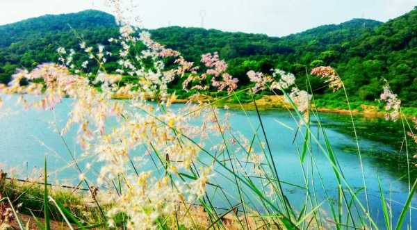 梦到湖水,揭秘梦境中的湖水寓意与解梦奥秘,象征,挑战,希望,第1张 梦到湖水,揭秘梦境中的湖水寓意与解梦奥秘,象征,挑战,希望,第1张