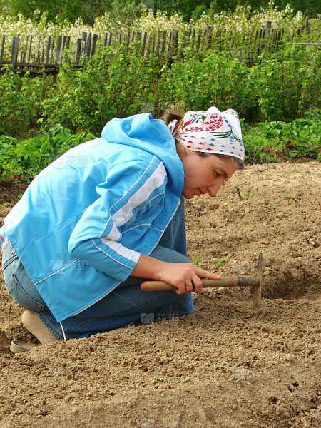 解梦梦见锄地，揭示梦境中的象征意义,象征,挑战,希望,第1张