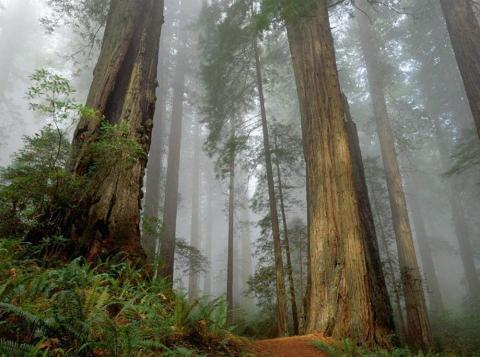 探寻佳县白云山求签的神秘之旅,费用揭秘与心灵体验,求签,解读,时光,第1张 探寻佳县白云山求签的神秘之旅,费用揭秘与心灵体验,求签,解读,时光,第1张