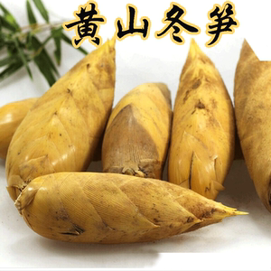 周公解梦栽笋的寓意，揭示神秘生肖的秘密,象征,事业,希望,第1张